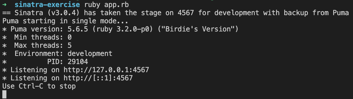Sinatra starting in the command line
